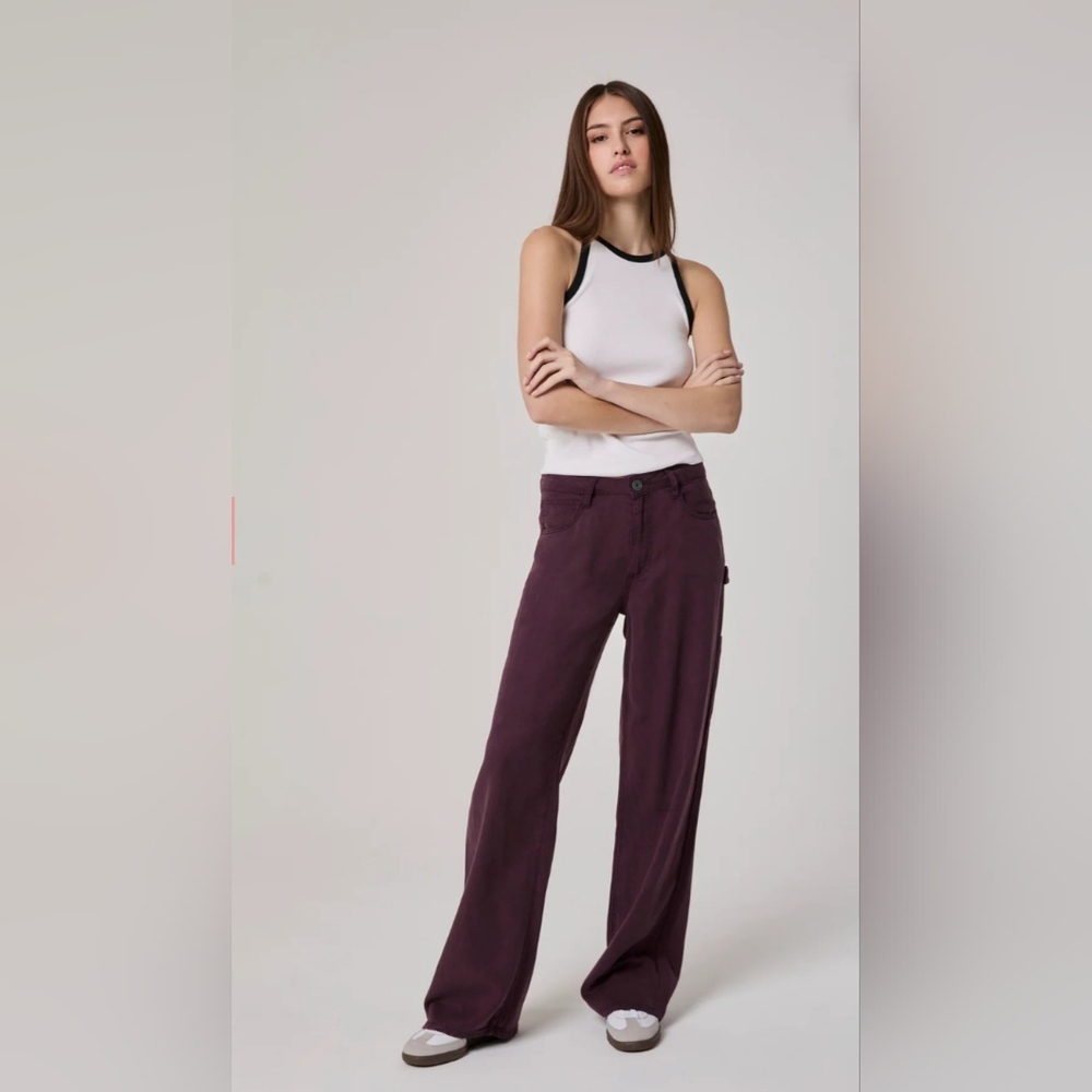 Edyson Charles Utility Pant in Burgundy. Size 25